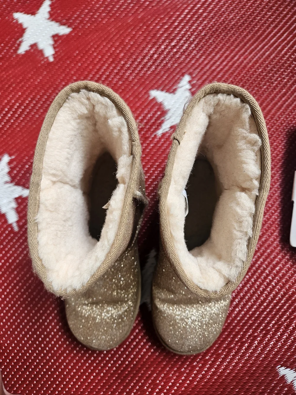 Ugg Sparkly Boots